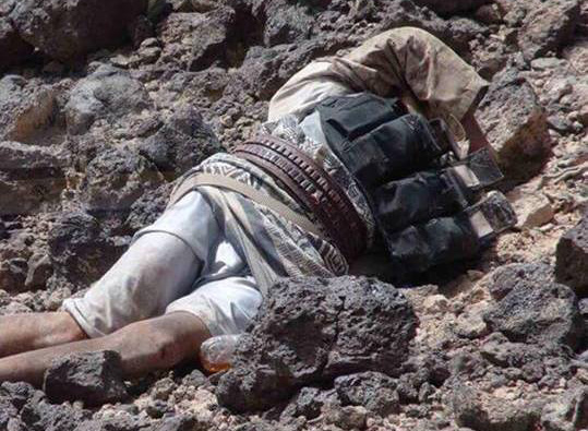 مقتل قرابة 12 مسلحا حوثيا وإصابة آخرين في معارك عنيفة غرب محافظة مأرب