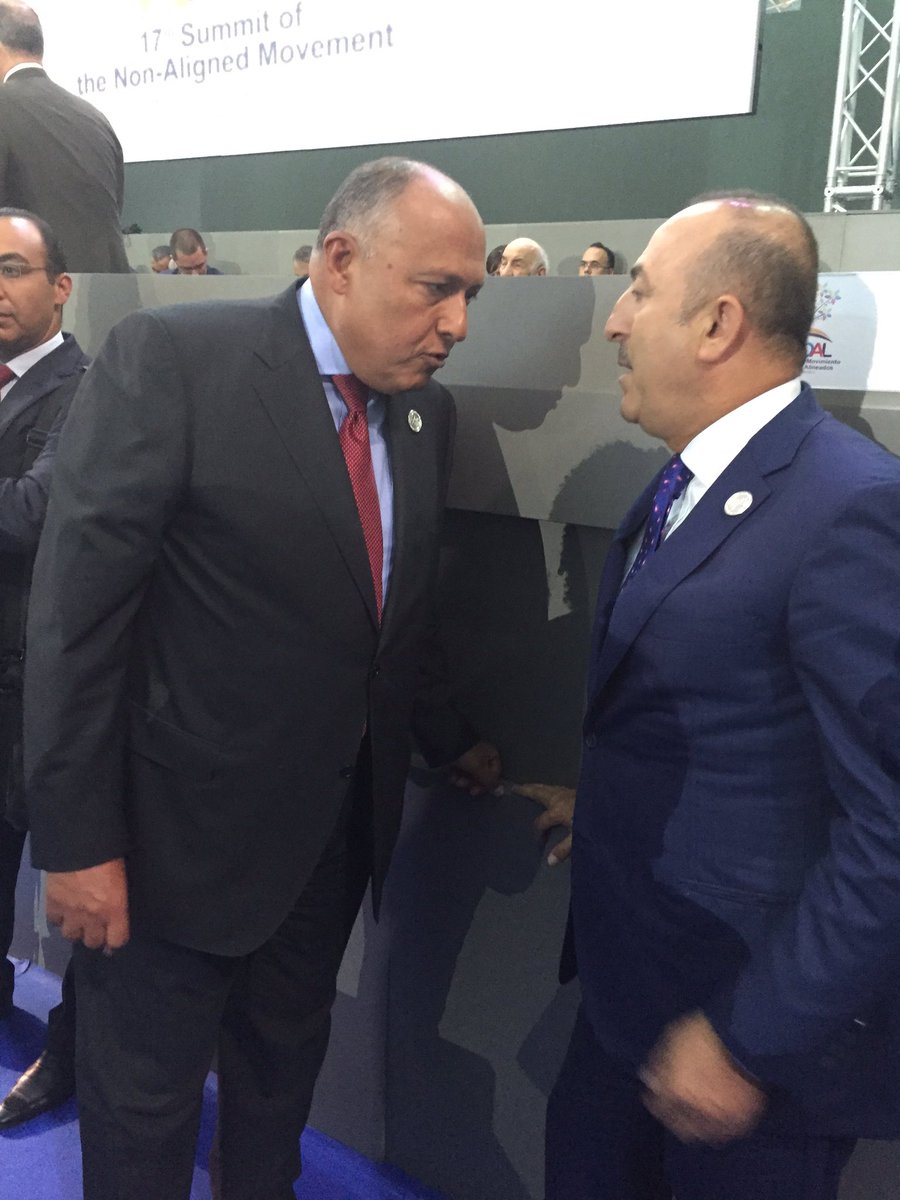 أول لقاء بين وزيري خارجية مصر وتركيا منذ الانقلاب (صورة)