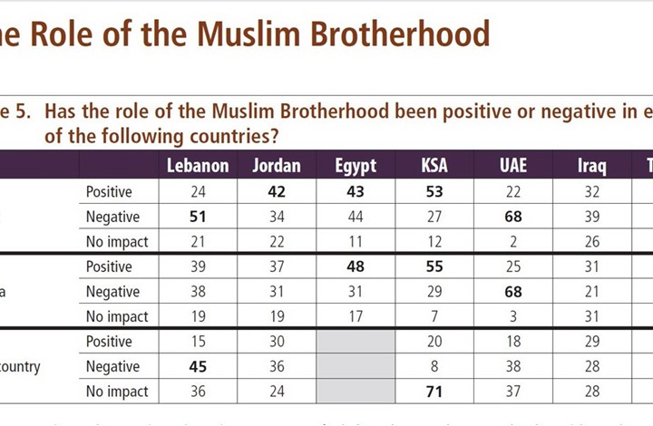 غالبية السعوديين و43% من المصريين يقدرون دور الإخوان 