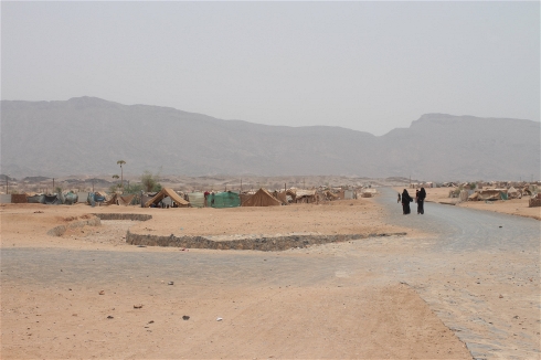 ما بين 60 - 70 ألف نازح في محافظة عمران لا تصل إليهم منظمات الإغاثة الدولية