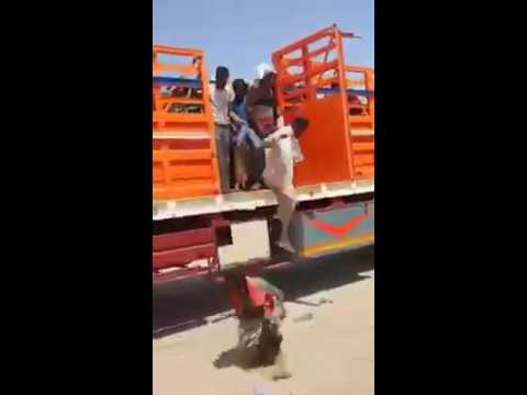 العسكر والشرطة في عدن تستمر في تهجير مواطنين من مدينة عدن بلافتات انفصالية (فيديو)
