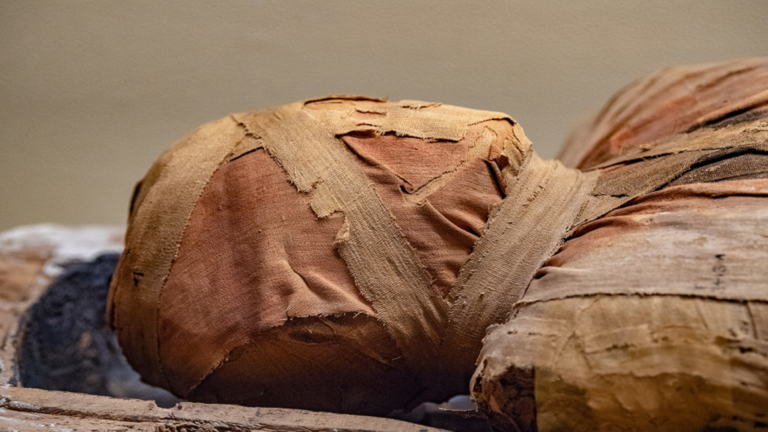 اكتشاف مدهش داخل نعش مومياء مصرية عمرها 3 آلاف عام!
