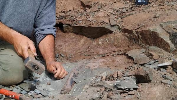العثور على بقايا آخر ديناصور مفترس على الأرض 