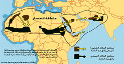 خطة طوارئ يمنية لمواجهة غزو الجراد