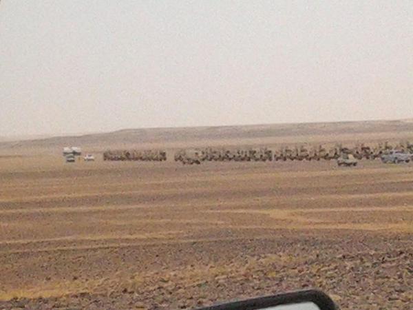 وصول دفعة جديدة من الآليات العسكرية الحديثة إلى محافظة مأرب عبر منفذ الوديعة عصر اليوم (صور)