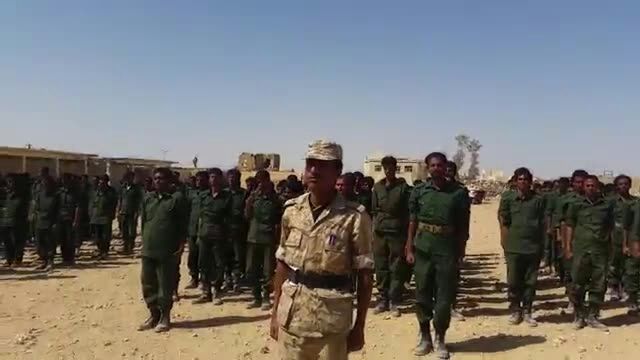 قوات الجيش والمقاومة تحاصر معسكر «الخنجر» الاستراتيجي في الجوف
