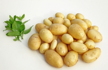 البطاطس المسلوقة تمتص الدهون