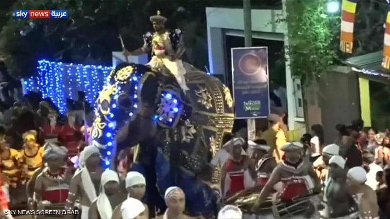 الأفيال تحوِّل مهرجان سريلانكا لمأساة 