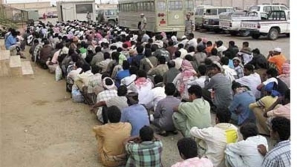 السعودية: توجه لتمديد مهلة التصحيح لـ «ثلاثة أشهر» أخرى وحضر مهنتي السائق والراعي على اليمنيين