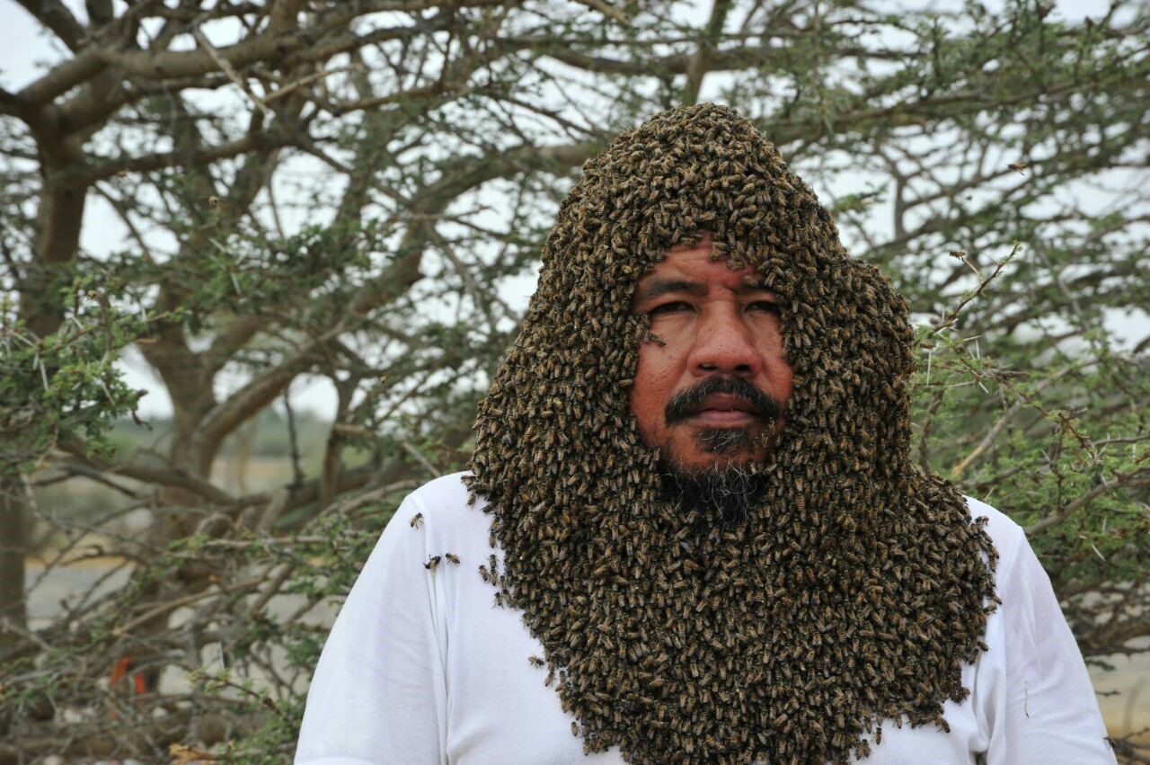 «نحال» سعودي يجمع أكثر من 20 ألف نحلة حول وجهه