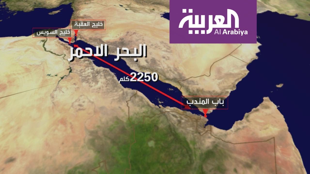 كيف يحمي التحالف العربي بقيادة السعودية حركة الملاحة الدولية في البحر الأحمر؟ (فيديو)