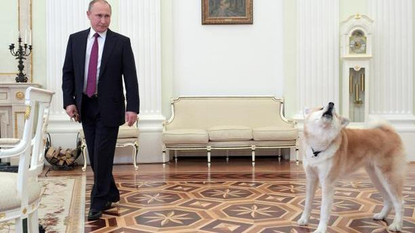 ماذا فعلت كلبة الرئيس الروسي مع الإعلاميين اليابانيين؟ (صور)