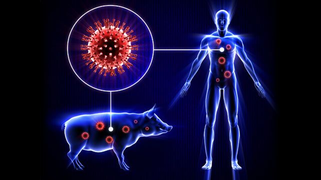 وفاة مواطن ثانٍ بإنفلونزا الخنازير في إب خلال 48 ساعة