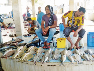 جهود حكومية لدعم القطاع السمكي في المناطق المتضررة