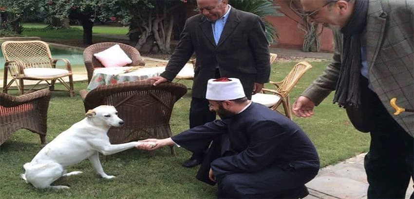 صورة لمستشار السيسي للشؤون الدينية مع كلب تثير سخرية المصريين