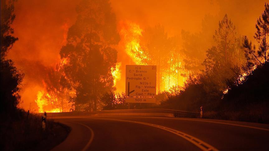 السلطات البرتغالية تعلن الحداد 3 أيام على أرواح 62 شخص سقطوا في حريق الغابات
