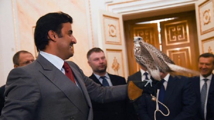 بالفيديو.. الرئيس بوتين يهدي صقرا لأمير قطر
