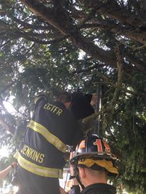بالفيديو: رجال الإطفاء ينقذون إمرأة علقت في شجرة بسبب لعبة بكويمون جو
