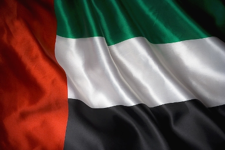 الإمارات تعلن تكفلها بعلاج 1500 جريح يمني