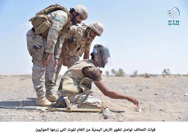 قوات التحالف تواصل تطهير المناطق المحررة من ألغام الحوثيين (صور)