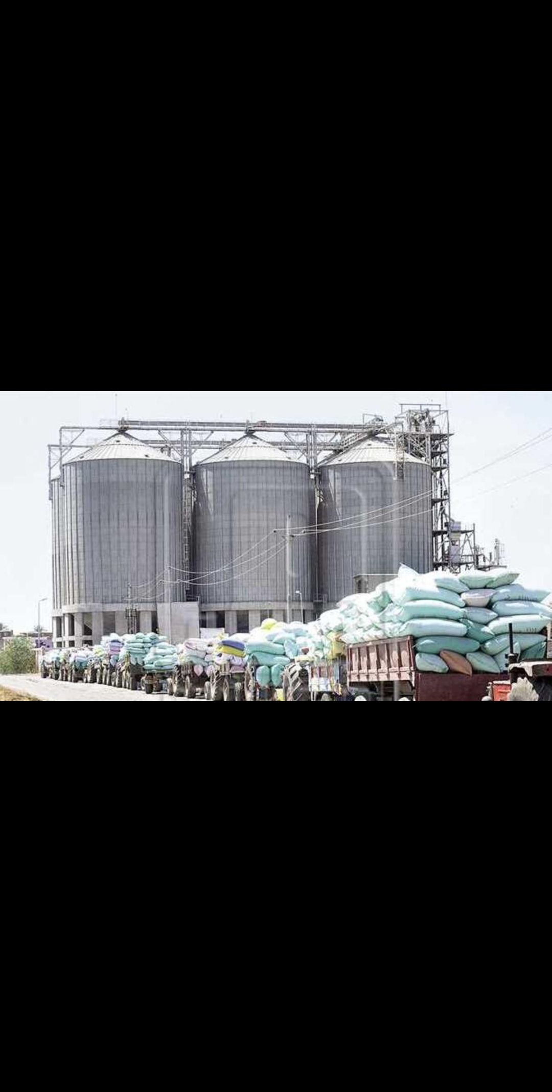 الغذاء العالمي يعلن إيقاف إنتاج القمح بعد قصف الحوثيين مطاحن البحر الأحمر