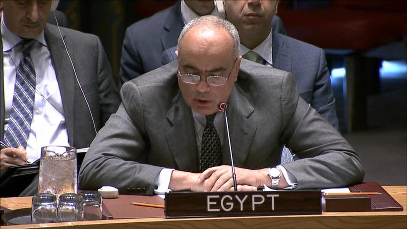 موقف مصري جديد صادم للحوثيين وحليفهم «صالح» في مجلس الأمن