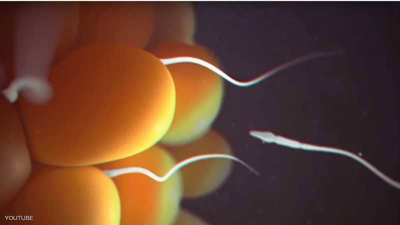 سابقة علمية.. اكتشاف إمكانية التحكم في جنس الجنين